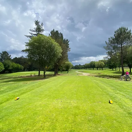 Plaza Lotf L2 By Urent * Padron