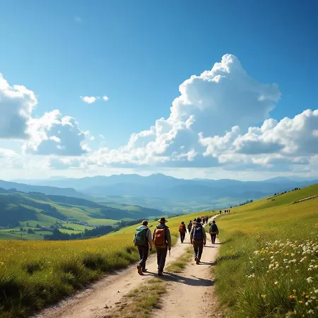 Plaza Lotf L2 By Urent *