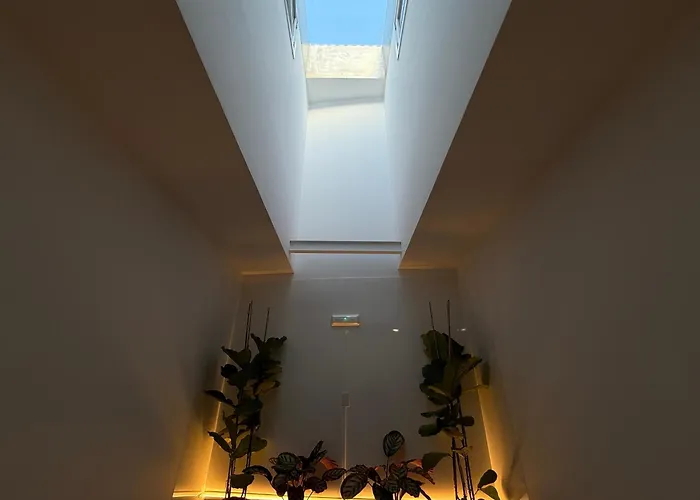 Plaza Lotf L2 By Urent * Padrón